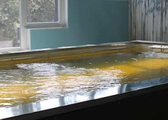 Hotel Terme Di Castel San Pietro 3*