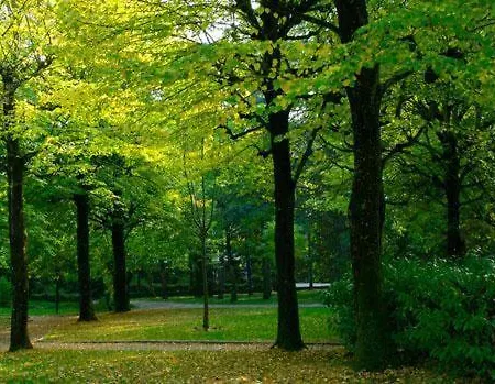 Terme Di Castel San Pietro Hotel 3*