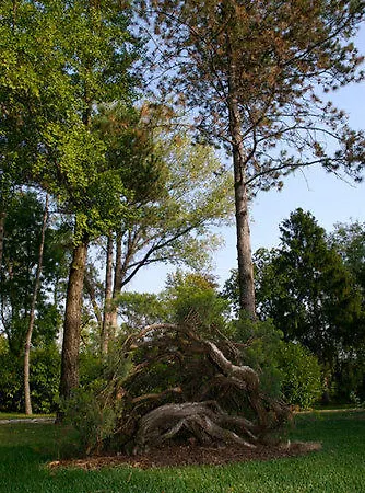 Terme Di Castel San Pietro Szálloda 3*