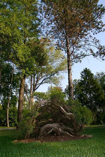 Terme Di Castel San Pietro Ξενοδοχείο 3*